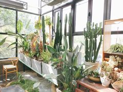 -北马山庄植趣咖啡