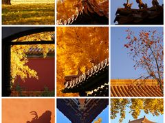 -故宫博物院(故宫)