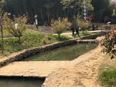 -石塘人家