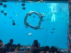 -瑞德姆美人鱼海底演艺主题餐厅(亚龙湾店)