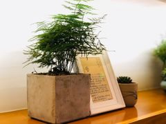-十二舍·湯物素煮(江泰潤政店)