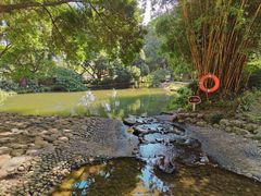 -成都市活水公园