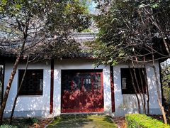 -上海佘山国家森林公园天马山园