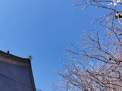 -护国法轮寺