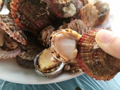 -张会海鲜饭店(东戴河店)