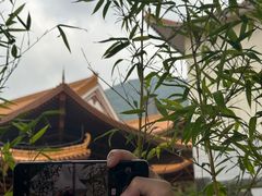 -深圳仙湖植物园