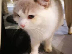 -小时光咖啡馆(开森度假森林店)