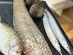 -镹·鱼料理  国产鱼使用店