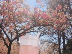 -鸡鸣赐茶(鸡鸣寺路店)