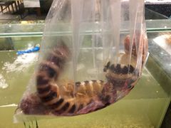 爬爬虾-Isla Sugbu Seafood City