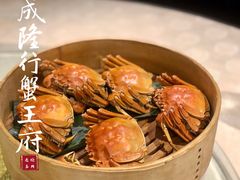 成隆行精选大闸蟹-成隆行·蟹王府(九江路店)