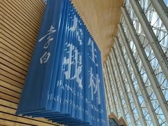 -福州海峡文化艺术中心