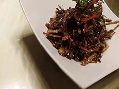 -上海金桥红枫万豪酒店-万豪中餐厅