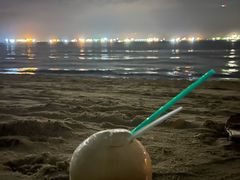 -东海岸人工湖美食村