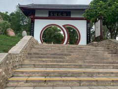 -特克斯八卦城