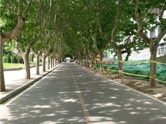 操场-大连理工大学(凌水校区)
