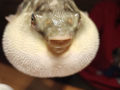 -永安鱼庄·镇江菜(丁卯店)