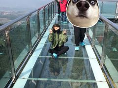 -梦幻奥陶纪景区