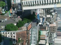 -喵园·猫主题咖啡厅·撸猫·猫咖(国贸店)