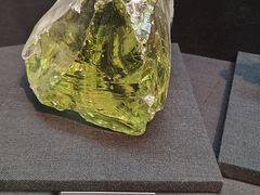 -烟台自然博物馆