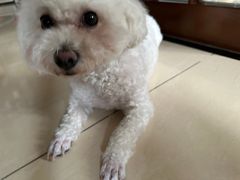 -关爱宠物医院·猫科中心·消化科(滨湖万达分院)