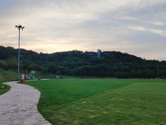 -羊山湖公园