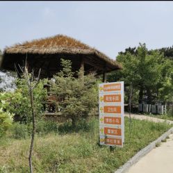 -甜果乐园