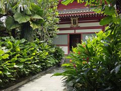 -新加坡佛牙寺龙华院