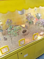 -神奇动物撸宠馆·羊驼·小浣熊·异宠(豫园店)