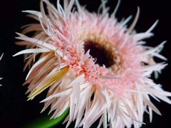 -海逸餐厅·象山海鲜