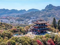 -贵州百里杜鹃风景名胜区