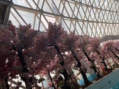 -天山海世界·米立方