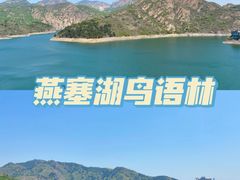 -燕塞湖鸟语林景区