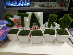 -STAR舞蹈工作室