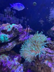 -Zoolung Zoolung动物主题公园(海信广场店)