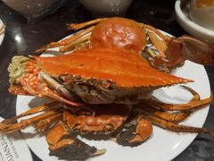 -川骄海鲜自助(亚运村店)