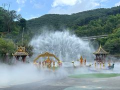 -西双版纳原始森林公园