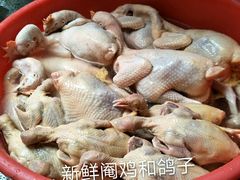 -15年老字号鑫鑫猪肚鸡·椰子鸡海南火锅(兴隆华侨农场店)