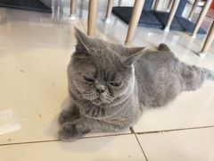 -平行世界·猫咖(首经贸店)