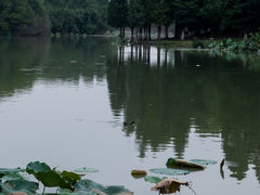 -艾溪湖湿地公园