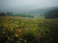 -白草畔自然风景区