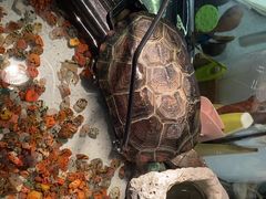 -粉墨私人影院•无人自助(维多利亚店)