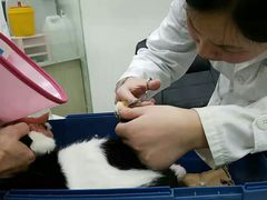 -贝利宠物医院·骨科·眼科·肿瘤转诊中心(南坪诊疗中心)