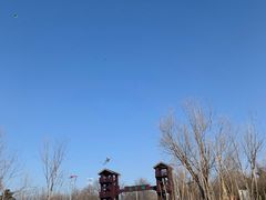 -绿堤公园