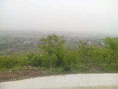 android_upload_pic-田峪河公园