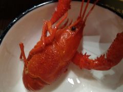 -虾弄弄海派小龙虾·牛羊蝎子火锅