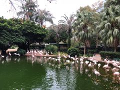 -九龙公园