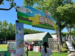 -上海长兴岛郊野公园