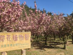 -金龙寺国家森林公园