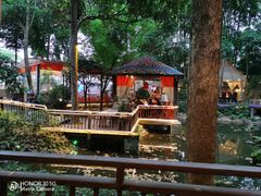 -二荆条·蜀鲜汇城市森林火锅